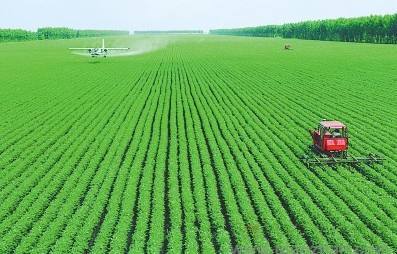 貴州有機(jī)蔬菜與生態(tài)農(nóng)業(yè)發(fā)展前景——以貴州輝煌農(nóng)業(yè)開(kāi)發(fā)為例