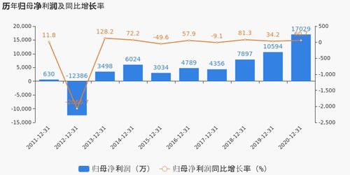 有研新材2020年度業(yè)績顯著提升，歸母凈利潤同比大漲60.74%，投資項(xiàng)目回報(bào)成未來焦點(diǎn)
